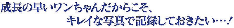 Moji_2 Moji_2